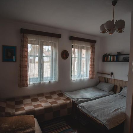 Sziklakert - Életöröm Vendégház Rimetea Exterior foto