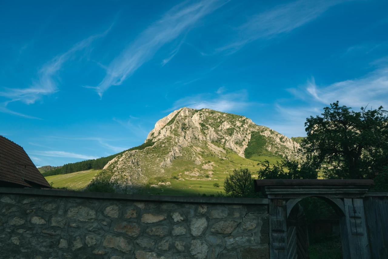 Sziklakert - Életöröm Vendégház Rimetea Exterior foto