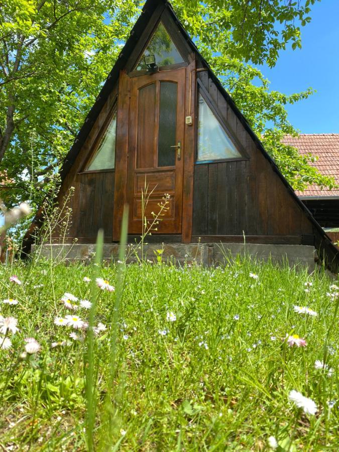 Sziklakert - Életöröm Vendégház Rimetea Exterior foto